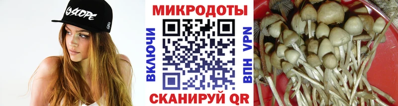Псилоцибиновые грибы ЛСД  Донской 